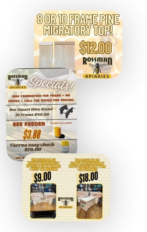 Rossman Sale 3