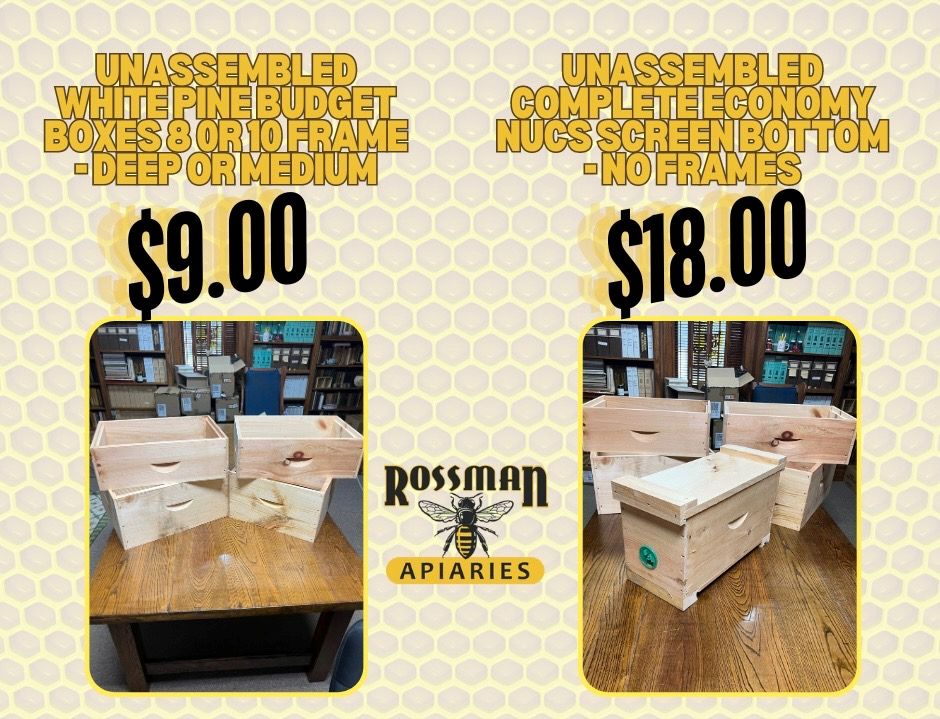 Rossman Sale 1